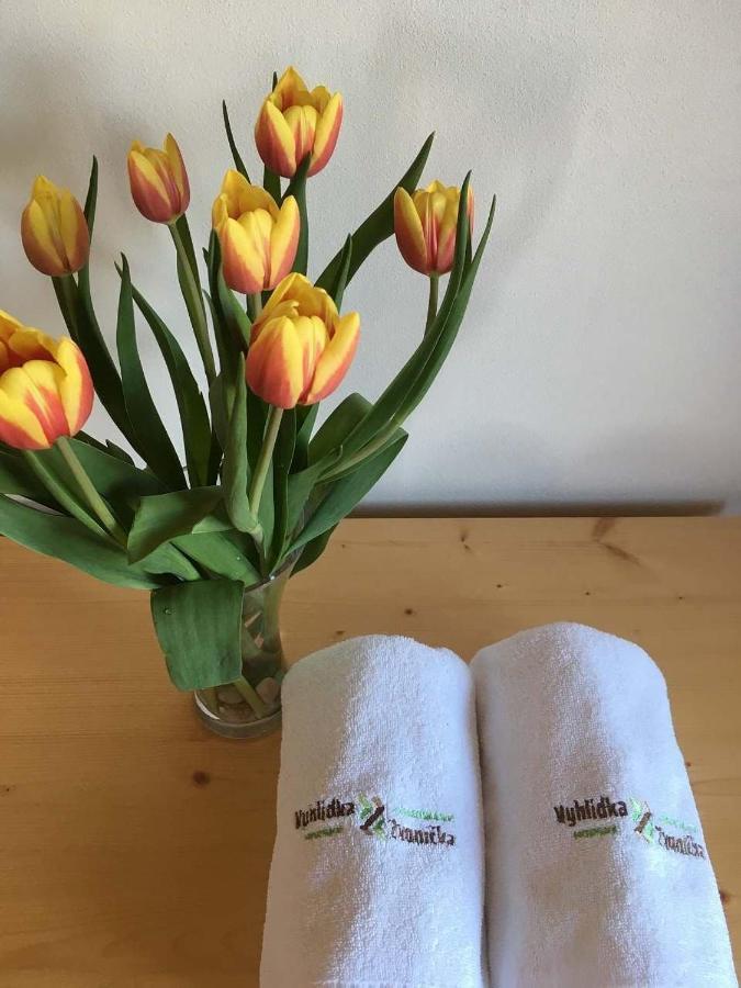 Horsky Apartman Vyhlidka Rejviz Zlaté Hory Dış mekan fotoğraf